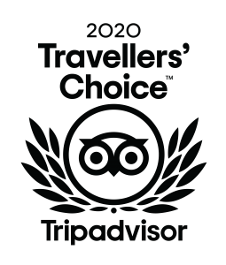 Testimonials 1 Travellers Choice logo