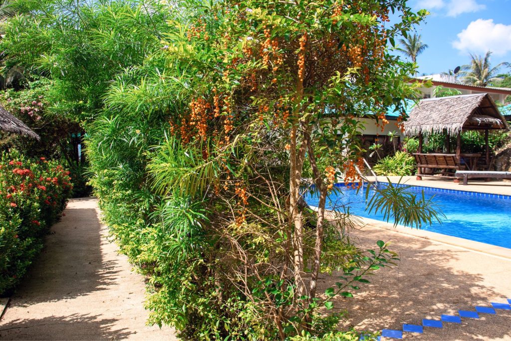 Soak in the beauty of our lush resort garden