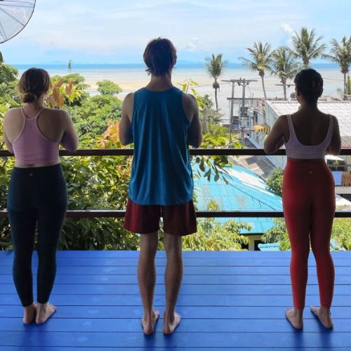 50 Hours Aerial Yoga 11 5